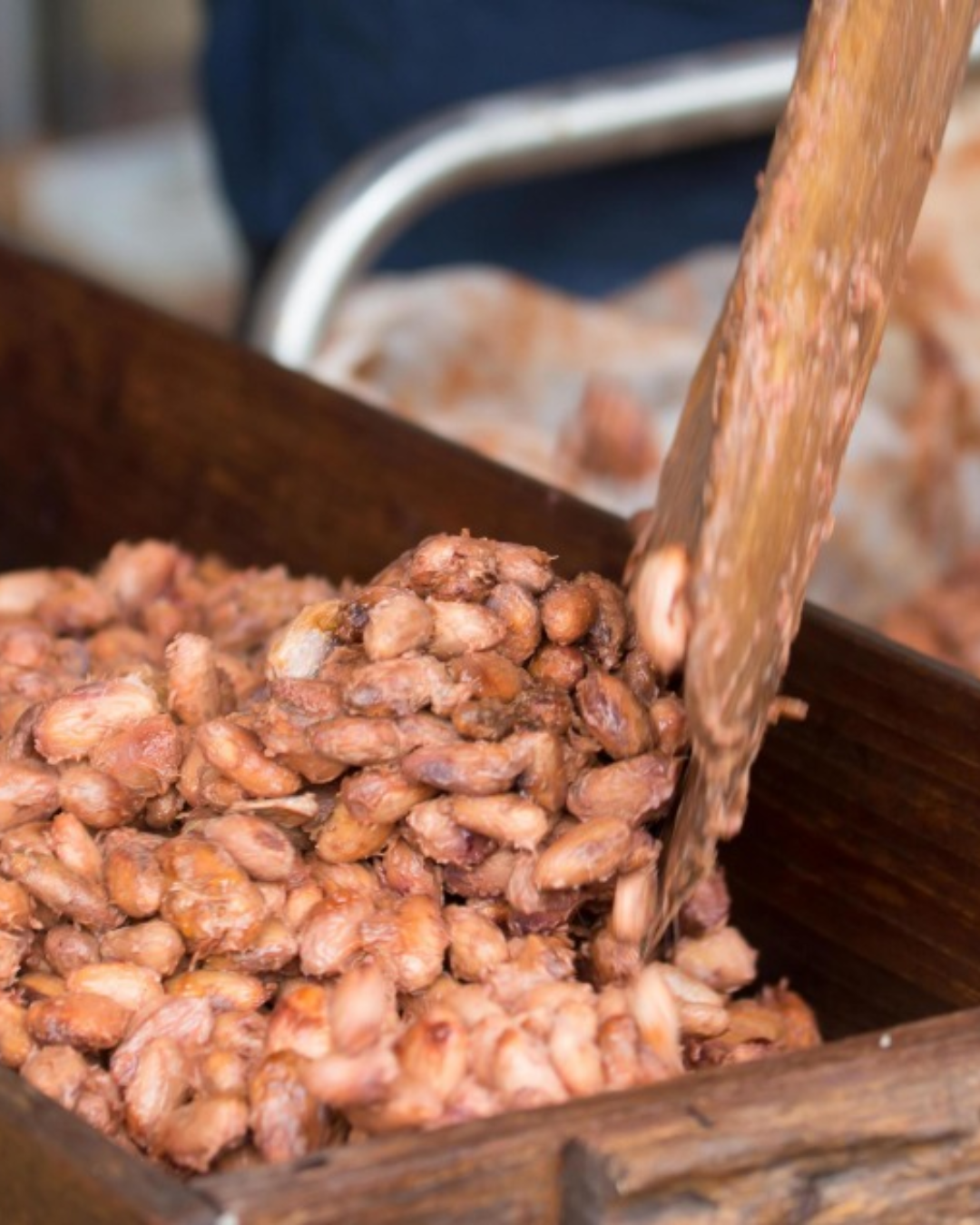 fermentação